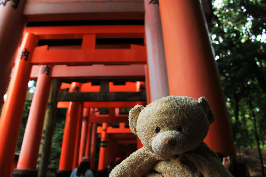 Inside the tunnel of torii gates.