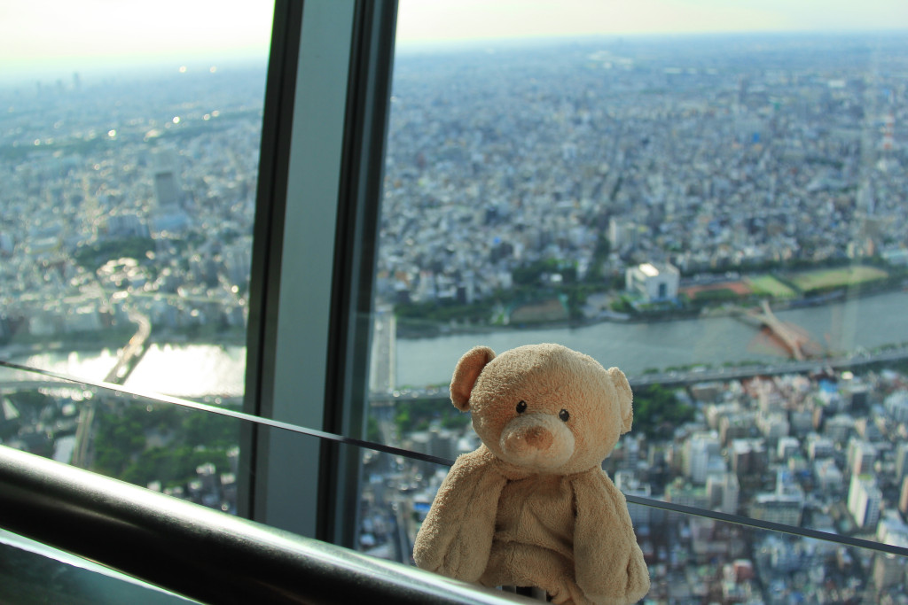 View of Tokyo from the top of Skytree.