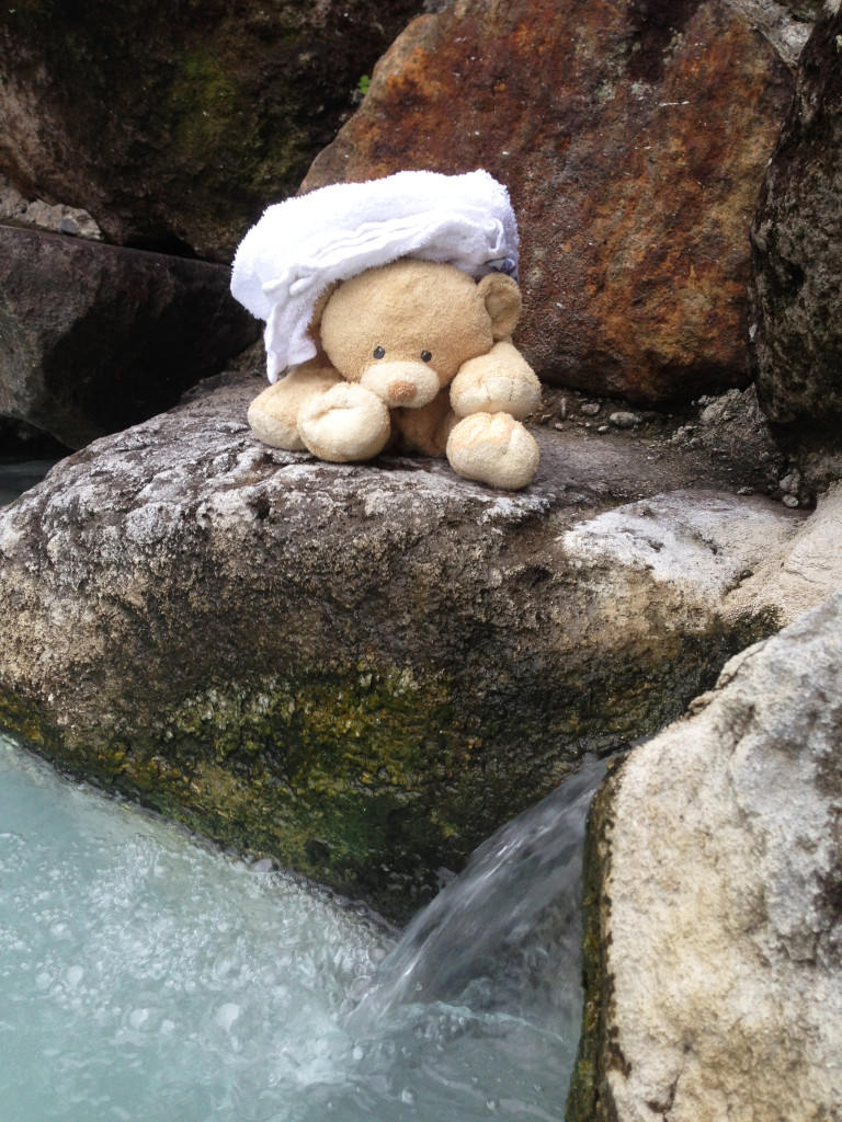 Woody at a natural onsen.