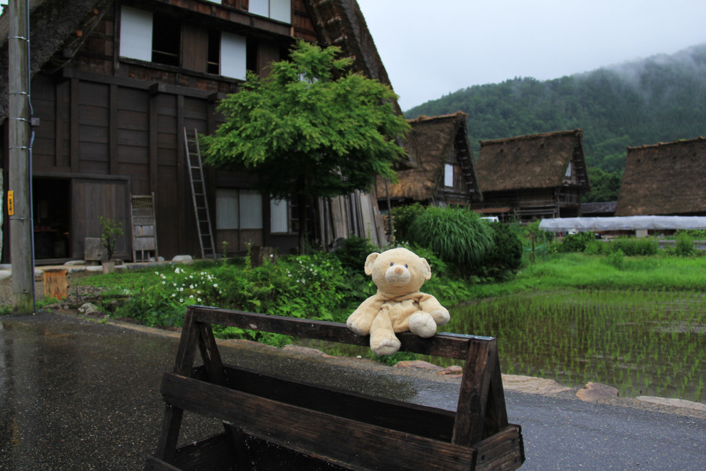 Traditional houses with small rice paddies.