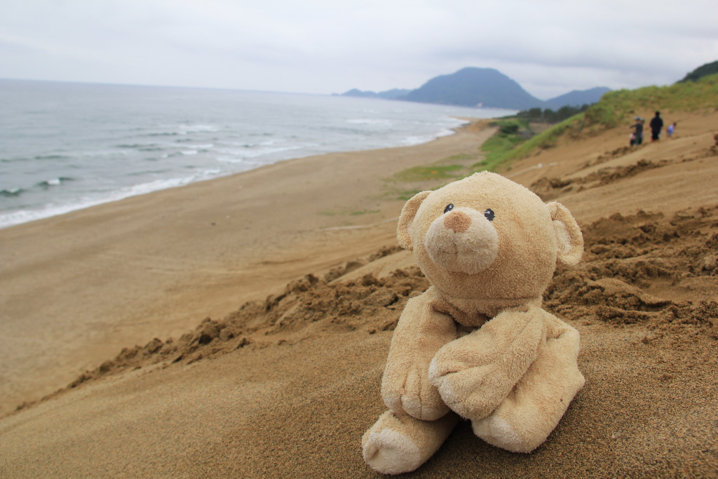 View of the shore from the top of a sand dune.