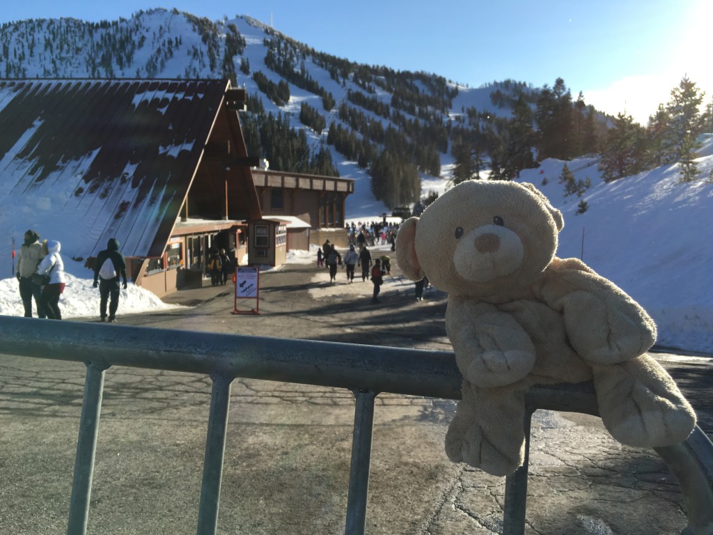 Woody at Mt.Rose Ski Resort.