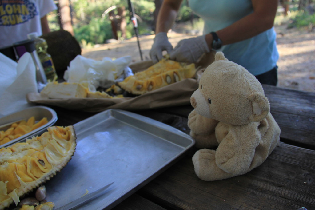 Woody learning how to cut jackfruit at the campsite in Grover Springs.