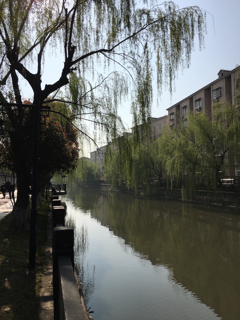 While running errands, we walked past a park. There was a river with fisherman fishing along the sides, birds chirping in their cages along the walls, and old people exercising on rusty Asian park gyms. 