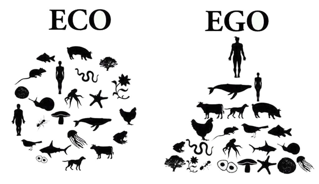 ego-eco