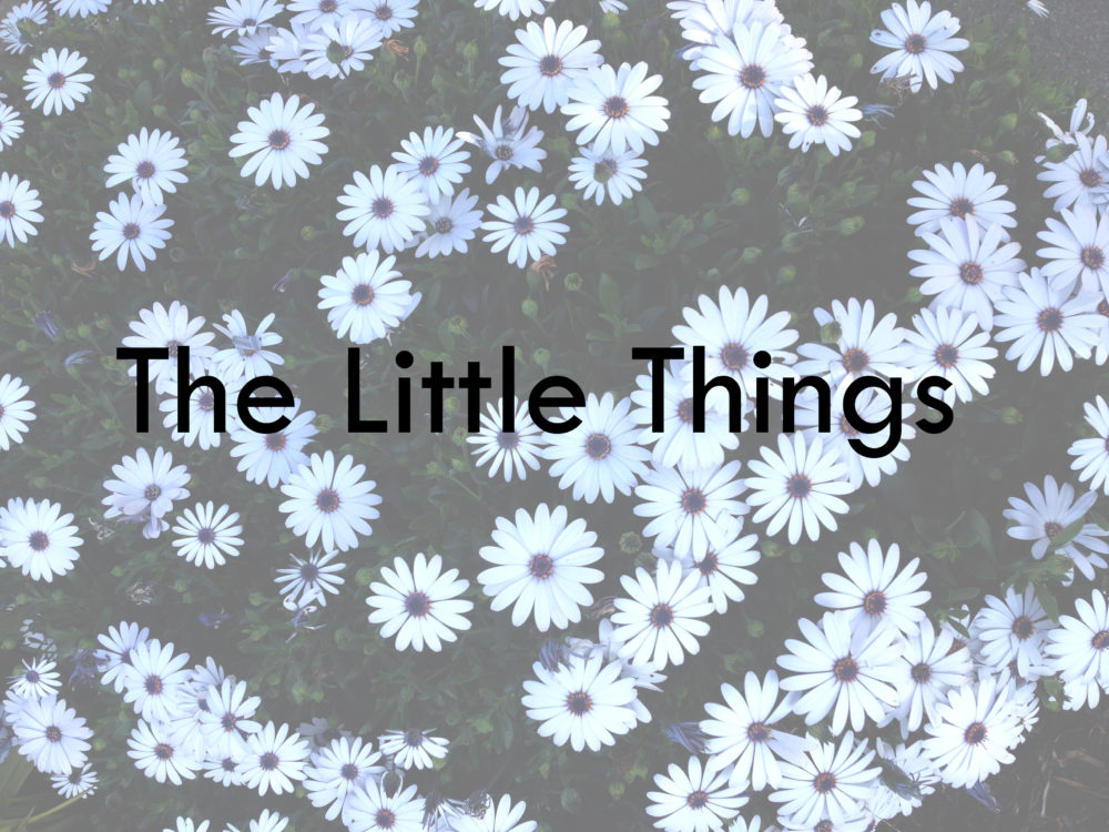 littlethings