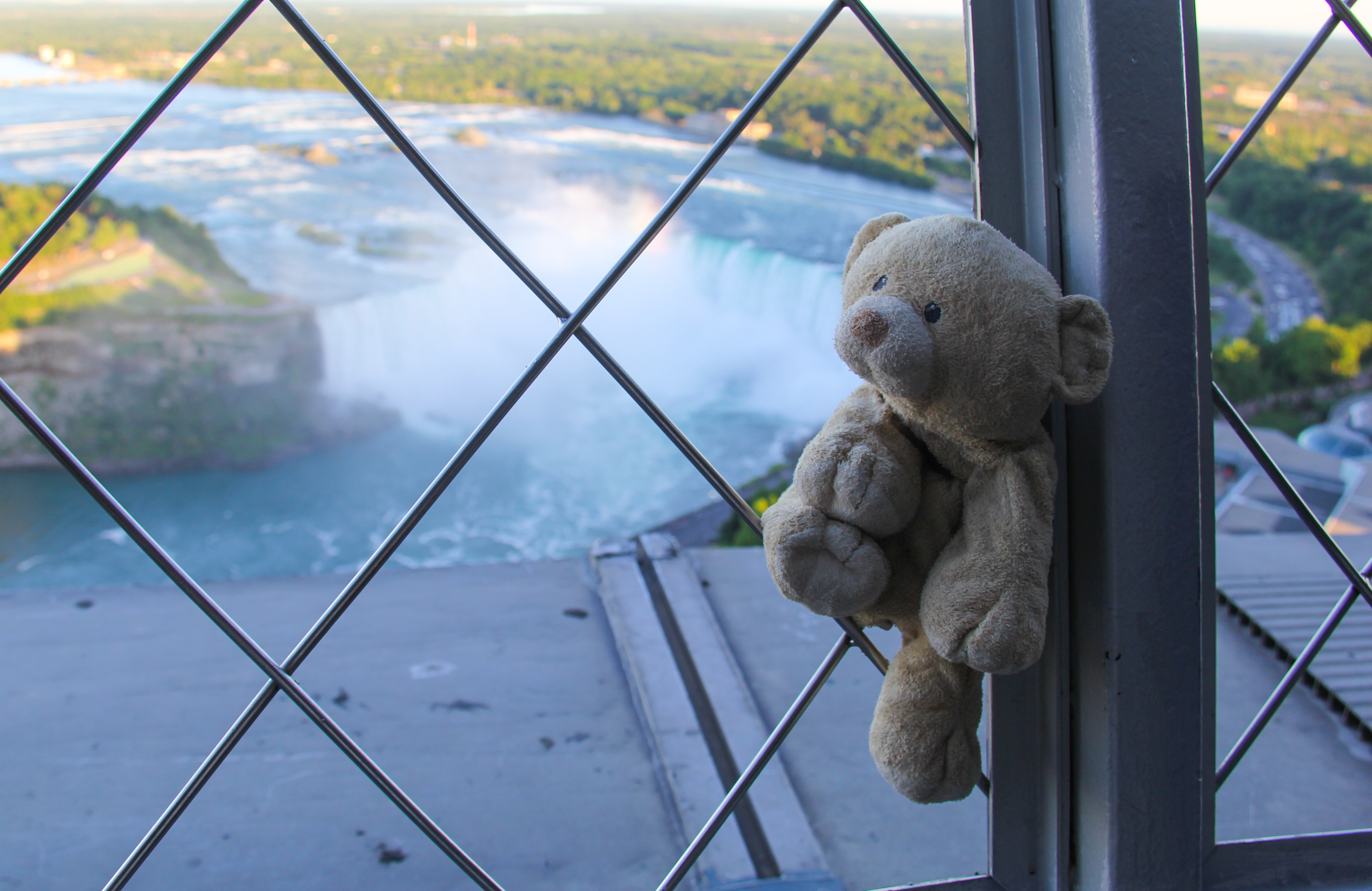 View of the falls from Skylon Tower.